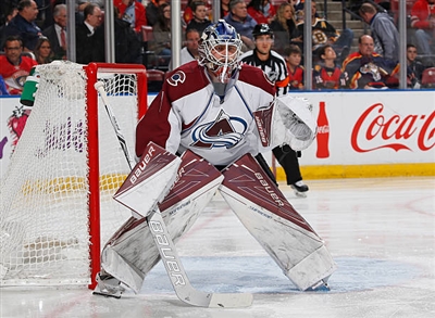 Semyon Varlamov Poster 3557912