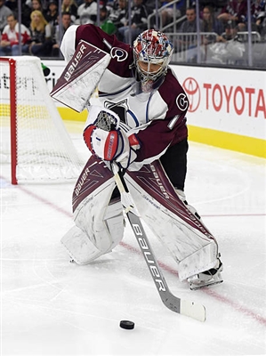 Semyon Varlamov Poster 3557913