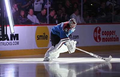 Semyon Varlamov Poster 3557914