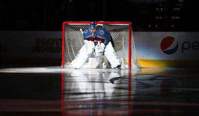 Semyon Varlamov Poster 3557915
