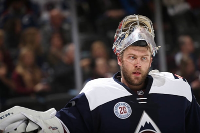 Semyon Varlamov Poster 3557917
