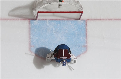 Semyon Varlamov Poster 3557918