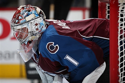 Semyon Varlamov Poster 3557921