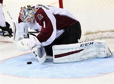 Semyon Varlamov Poster 3557923