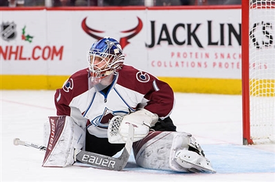Semyon Varlamov Poster 3557924