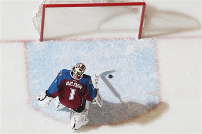 Semyon Varlamov Poster 3557925