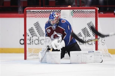 Semyon Varlamov Poster 3557926