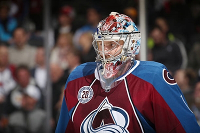 Semyon Varlamov Poster 3557927