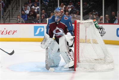 Semyon Varlamov Poster 3557929