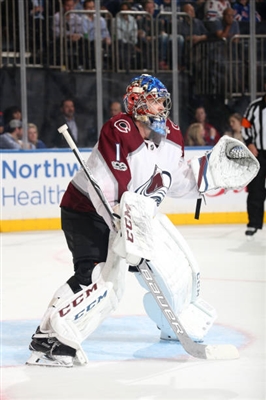 Semyon Varlamov Poster 3557930