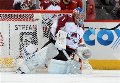 Semyon Varlamov Poster 3557932
