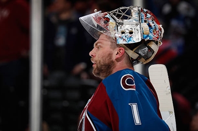 Semyon Varlamov Poster 3557933