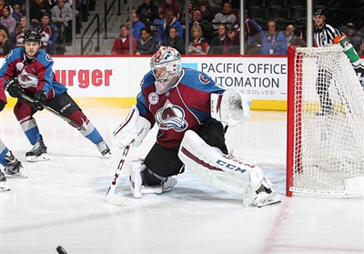 Semyon Varlamov Poster 3557934