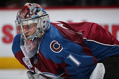 Semyon Varlamov Poster 3557935