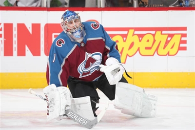 Semyon Varlamov Poster 3557938