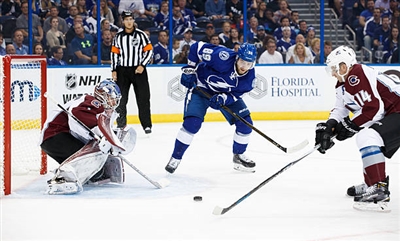 Semyon Varlamov Poster 3557939