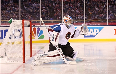 Semyon Varlamov Poster 3557940