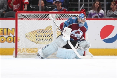 Semyon Varlamov Poster 3557941