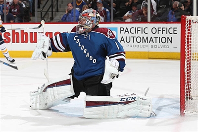Semyon Varlamov Poster 3557942