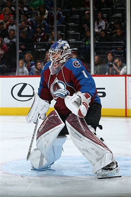 Semyon Varlamov Poster 3557945