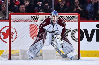 Semyon Varlamov Poster 3557947