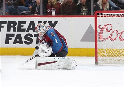 Semyon Varlamov Poster 3557949