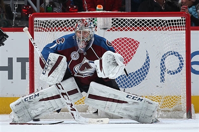 Semyon Varlamov Poster 3557950