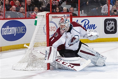 Semyon Varlamov Poster 3557951