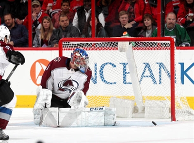 Semyon Varlamov Poster 3557952