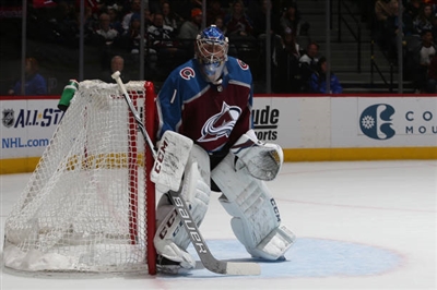 Semyon Varlamov Poster 3557953