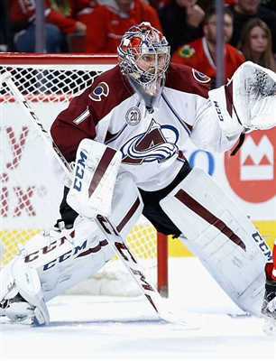 Semyon Varlamov Poster 3557954