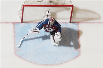 Semyon Varlamov Poster 3557955
