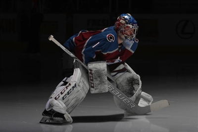 Semyon Varlamov Poster 3557957