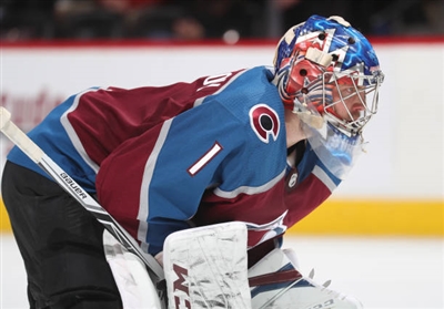 Semyon Varlamov Poster 3557959