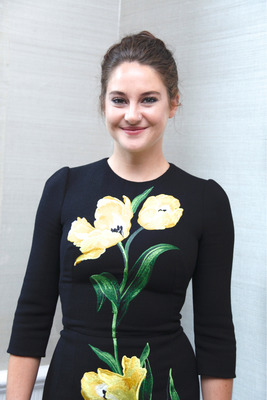 Shailene Woodley Poster 2736400