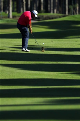 Shane Lowry Poster 3510364