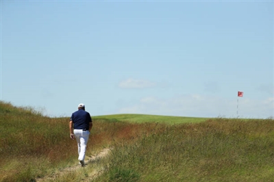 Shane Lowry Poster 3510379