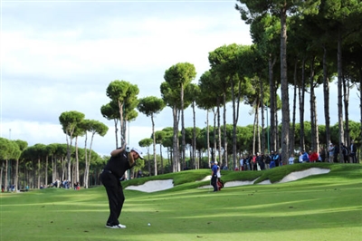 Shane Lowry Poster 3510431
