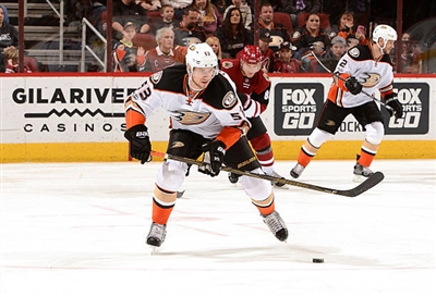 Shea Theodore Poster 3568405