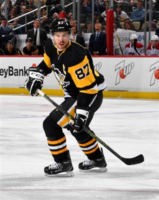 Sidney Crosby Poster 3526810