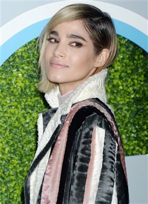 Sofia Boutella Poster 3040428