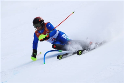 Stefano Gross Poster 3649472