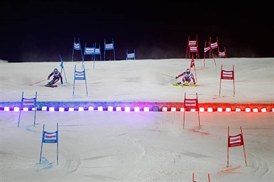 Stefano Gross Poster 3649487