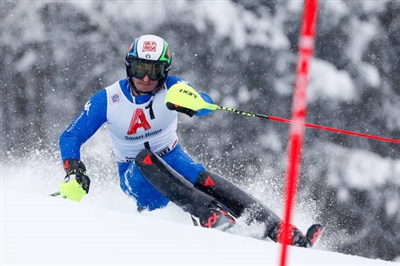 Stefano Gross Poster 3649491