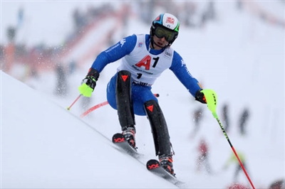 Stefano Gross Poster 3649494