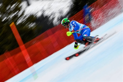 Stefano Gross Poster 3649520