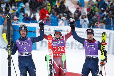 Stefano Gross Poster 3649536