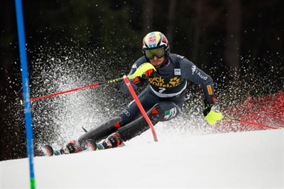 Stefano Gross Poster 3649546