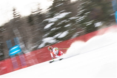 Stephanie Brunner Poster 3643443