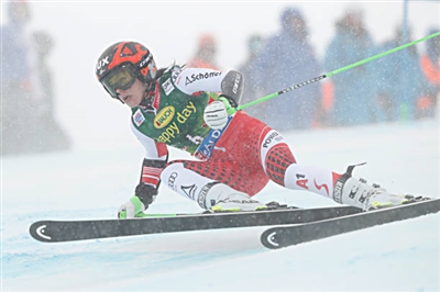 Stephanie Brunner Poster 3643454